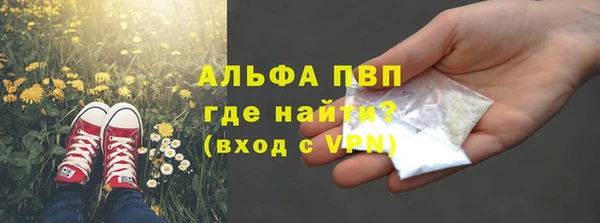 индика Покров