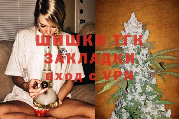 крисы Лабытнанги