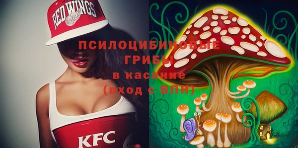 спайс Тайга