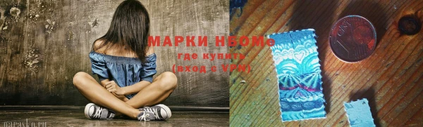 крисы Лабытнанги