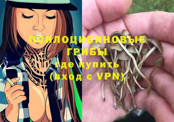 шишки Тихвин