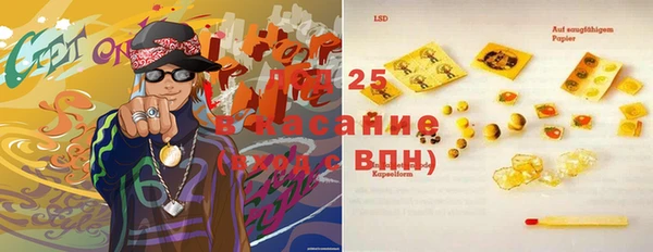 стаф Тавда